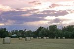 whitecroft-hay-sunset.jpg
