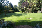 Z2Q9W4912.jpg