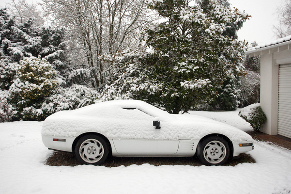 Camouflaged!!
Ključne besede: Cars Corvette February Lucies farm Snow Whitecroft Winter 2009