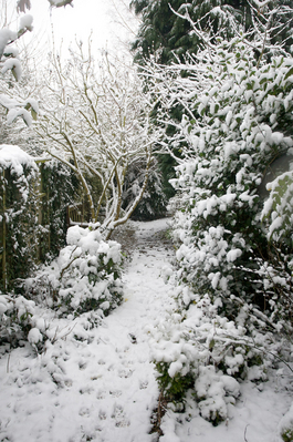 A winter wonderland
Keywords: February Lucies farm Snow Whitecroft Winter 2009
