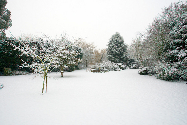 Not a footprint in sight
Palabras clave: February Lucies farm Snow Whitecroft Winter 2009