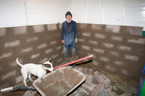 Now, I wonder if there's anything good in here ........
Anahtar kelimeler: Breeze blocks Brickwork english Bull Terrier Isolation Kennel Kennels Mana Ross Stable Stables Wheelbarrow