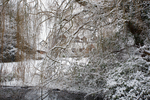 2009-02-05-at-09-15-18.jpg