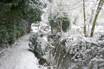 2009-02-05-at-09-17-30.jpg