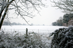 2009-02-05-at-09-17-41.jpg