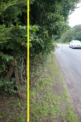 Sandpit Farms - Colletts Green Road
The yellow line shows where the hedge and trees grow beyond the property line.  This photograph was taken from in front of Whitecroft, looking towards Powick.  The yellow line indicates how the overgrowth of trees in front of Sandpit Farms blocks the already narrow verge.
Anahtar kelimeler: Sandpit Farms verge hedge Colletts Green Road