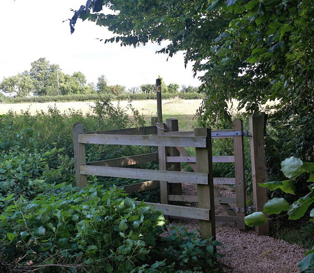 The Kissing Gate
We installed this "kissing gate" so it would be easy for folks on the public footpath to pass from our land -- where this photograph was taken -- onto Geoffrey Grizzells' field, and beyond.
Anahtar kelimeler: Colletts Green Footpath 578 Powick Worcester kissing gate