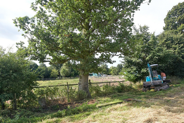 Installing The New Fence
Nigel Roberts from Albion Fencing installing the new wooden fence beneath our oak tree to close this gap in the hedge.  The hege bushes didn't grow:  this area was once a small pond (beofre our time) so it's possible the pond was filled with builders' rubble.  There was also a hole in the wire fence in this area, so sheep may have nibbled our hedge when it was young.  The gap is closed now.
Keywords: Maggot's Croft oak tree gap hedge Albion Fencing