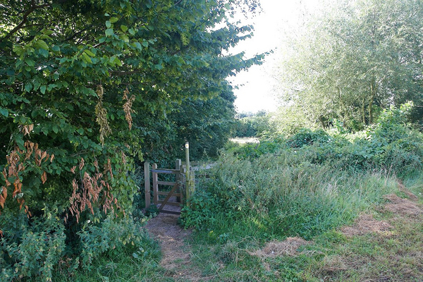 The Kissing Gate
View of our kissing gate taken from the Grizzell's field, looking south down our track.
Schlüsselwörter: kissing gate Grizzell Whitecroft Maggot's Croft track