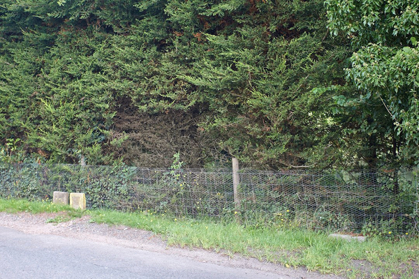 Front Hedge at Whitecroft
There's a hole in the road near our hedge, and in the winter it fills with salt water.  That splashes on the hedge, and has killed the lower branches.  We've installed a small gate her to give us access to the pond area and uppermost part of the garden.
Schlüsselwörter: Whitecroft hege leylandii salt pond gate door