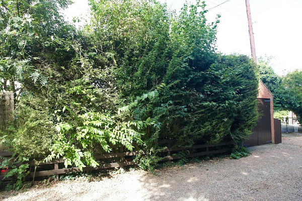 Overhanging Hedge
Photographed from our track, showing how the hedge at the back garden of The Cider Mill overhangs our property.
Klíčová slova: Cider Mill Colletts Green Powick garden hedge overhang Godwin