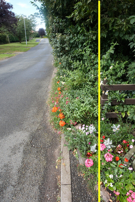 Overhanging Shrubs
Overhanging shrubs at the front of the Cider Mill, Colletts Green Road, Powick.  The vertical yellow line shows the property line.  The verge is completely gone -- and the shrubs are overhanging the road surface itself.
Schlüsselwörter: Cider Mill Colletts Green Powick Worcester Godwin overhanging shrubs road surface verge