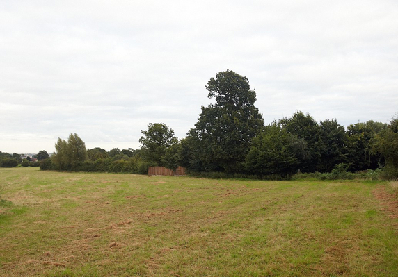 View of Northern Boundary of Maggot's Croft
This view, from Geoffrey Grizzell's field looking to the south, shows the northern boundary of Maggot's Croft.  Our new wooden fence is shown beneath the second (smaller) oak tree.
Keywords: Maggot's Croft oak tree Geoffrey Grizzell boundary fence