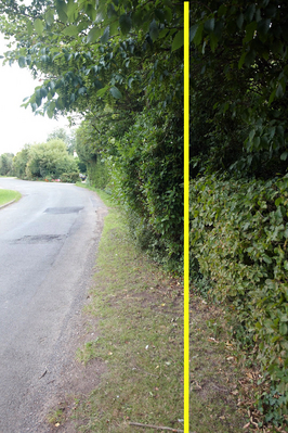 Overhanging Hedges
This photograph was taken from the front of Sandpits Farm, looking towards the west along Colletts Green Road.  The yellow vertical line indicates the property line (as best we can tell), so the hedges and trees are blocking the small verge.
Trefwoorden: Sandpits Farm Colletts Green Road hedge verge overhanging