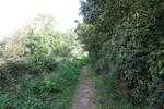 NTrack---849.jpg
