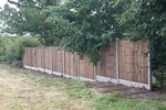 W-Track-1179.jpg