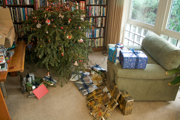 Oh, goody, Santa has been
Christmas Day 2008 - lean pickings this year
Palabras clave: Christmas gifts Presents Tree