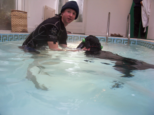 Yeah, we're having a good time
Słowa kluczowe: Fred Labrador Pool Ross Swimming Swimming pool