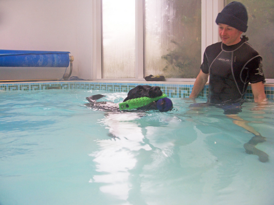 And off I go
الكلمات الإستدلالية(لتسهيل البحث): Fred Labrador Pool Ross Swimming Swimming pool