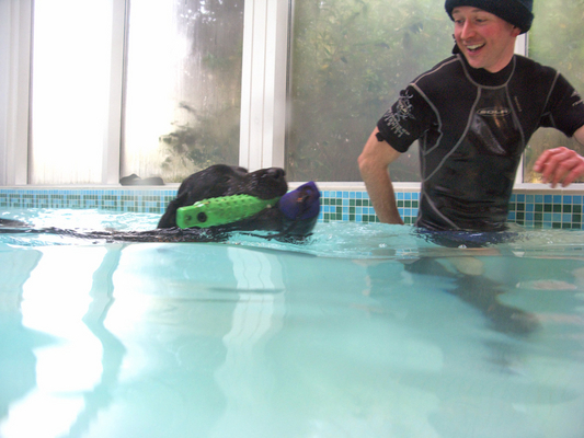 See, I can do it all by myself
Schlüsselwörter: Fred Labrador Pool Ross Swimming Swimming pool