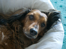 2009-01-06-at-12-37-22.jpg