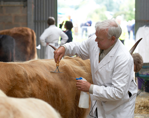 ............... for my ..............
Anahtar kelimeler: Agricultural Agriculture Animal Animals Award Awards Cattle Groom grooming Highland Highlands Judge Judging Malvern Show Three Counties Three Counties Show Worcestershire