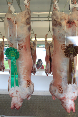 Wow, I wonder .............
Ключові слова: Agricultural Agriculture Animal Animals Award Awards Carcase emilia Judge Judging Lamb Lambs Malvern Show Three Counties Three Counties Show Worcestershire