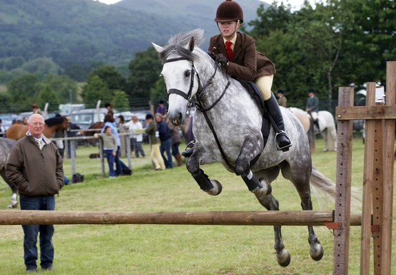 And, we have .............
Anahtar kelimeler: Agricultural Agriculture Animal Animals Award Awards Horse Horses Judge Judging Malvern Show Showjumping Three Counties Three Counties Show Worcestershire