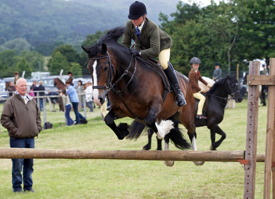 ............. take off
Ključne besede: Agricultural Agriculture Animal Animals Award Awards Horse Horses Judge Judging Malvern Show Showjumping Three Counties Three Counties Show Worcestershire