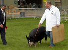 Z2Q9W8085.jpg