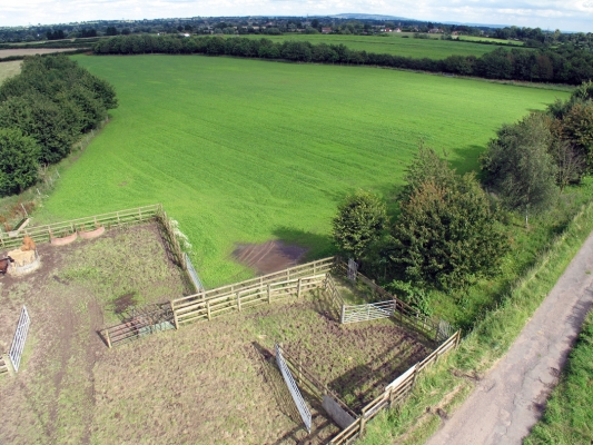 Birchfields 1
The ten acre field at Birchfields, with the crush and small "management" pen in the foreground.  We planted all of the trees --- on the left and right --- after we purchased Birchfields.  The green "grass" is actually weeds:  we are in the process of renewing the grass, and these weeds need to be sprayed off before the grass is planted.
Mots-clés: Birchfields trees weeds grass