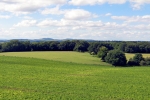 lords-wood.jpg