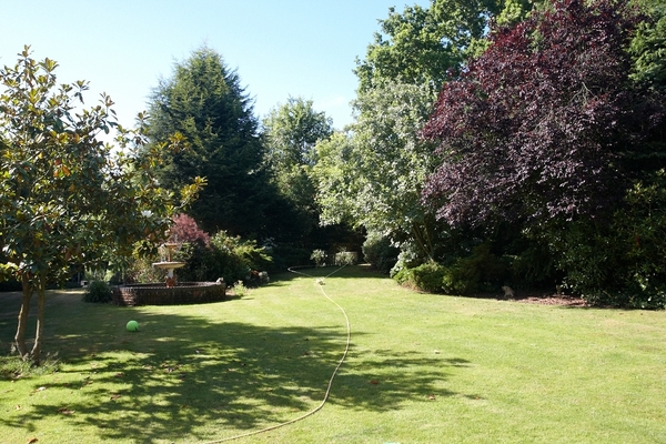 Whitecroft Garden - July 2010
Ключевые слова: Garden Whitecroft