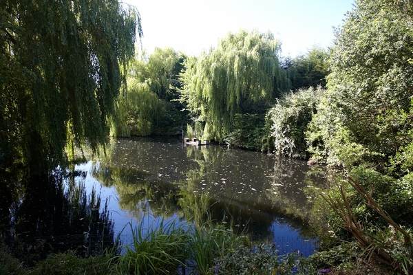 Where have all the ducks gone?
Schlüsselwörter: Garden pond Whitecroft