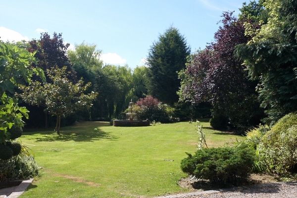 Whitecroft garden - July 2010
Ключові слова: Garden Whitecroft