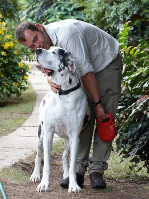 This is my new bestest friend
Palabras clave: Dog Dogs Gracie Great Dane Leo Lucies Farm
