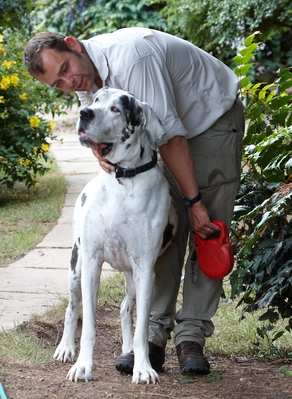 Getting to know you ............
Λέξεις-κλειδιά: Dog Dogs Gracie Great Dane Leo Lucies Farm
