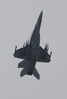 Z-AT-2332.jpg