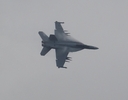 Z-AT-2336.jpg