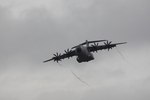 Z-AT-2361.jpg