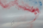 Z-AT-2434.jpg