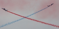Z-AT-2439.jpg