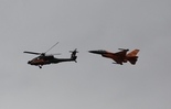 Z-AT-2462.jpg