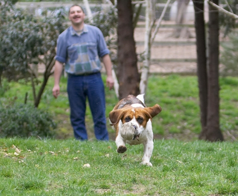 It's mine!
Ključne besede: Bilbo Beagle Zbigniew