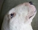 ZApril-12-2007-0013.jpg