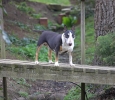 April-13-2007-0188.jpg