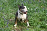 ZApril-13-2007-0004.jpg