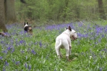 ZApril-13-2007-0159.jpg