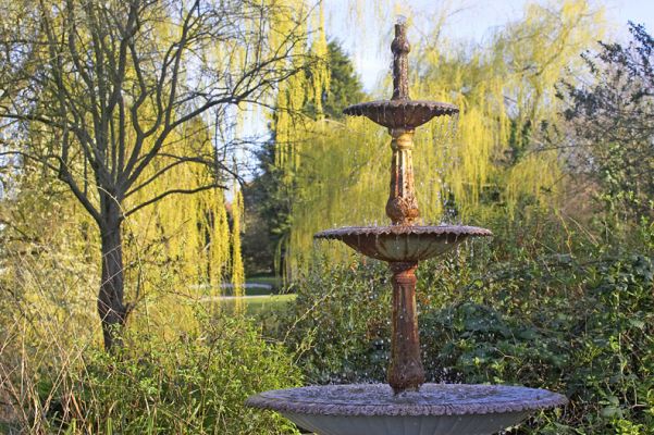 The Swan Fountain and Spring Willows
Christopher just finished giving the water in the Swan Fountain a good cleaning.  The willow trees by our front pond have beautiful spring leaves.  April 14 2006
الكلمات الإستدلالية(لتسهيل البحث): willow trees swan fountain Whitecroft front garden spring
