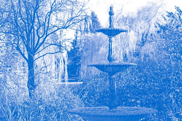 A Living Blue Willow Plate
Willow trees, particularly with spring leaves, always remind me of Blue Willow china.  With a little bit of Photoshop, our front garden looks like a living Blue Willow plate.
Klíčová slova: willow Whitecroft Blue Willow plate China fountain swan